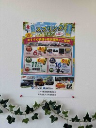 スプリングフェア開催します！